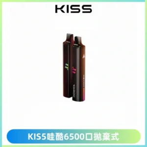 KIS5WAGOO哇酷6500口拋棄式 | 自由混搭雙口味 | 雙芯組合